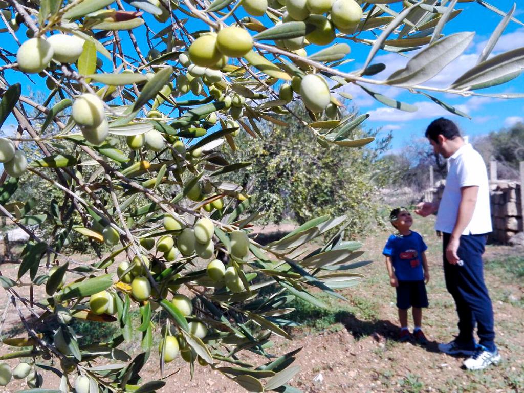 Olio extravergine Familiare